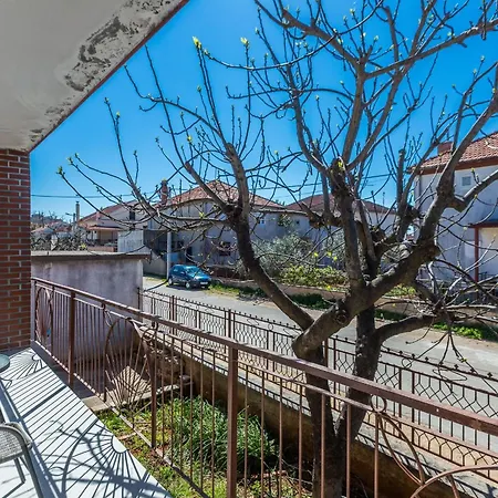 Nikola Free Parking Bbq Zara