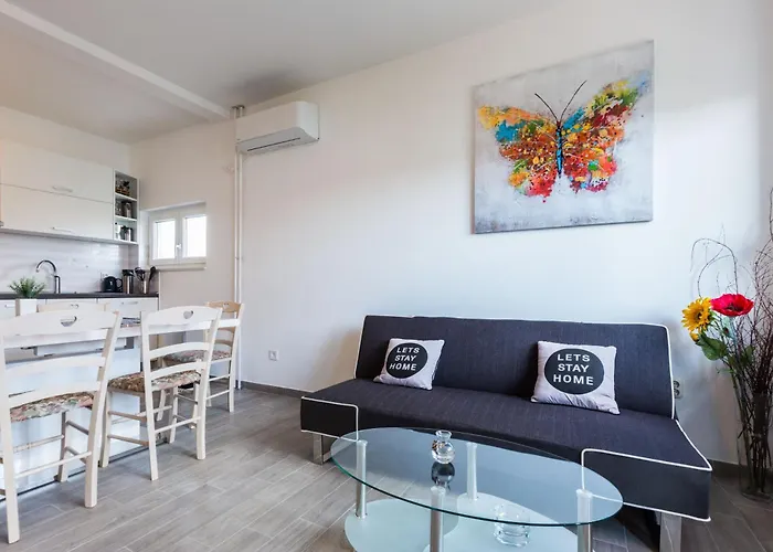 公寓 Nikola Free Parking Bbq 扎达尔