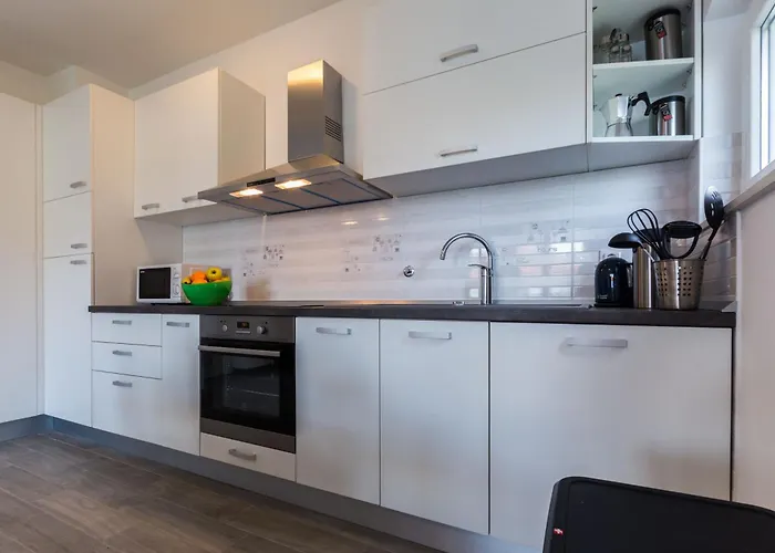 公寓 Nikola Free Parking Bbq